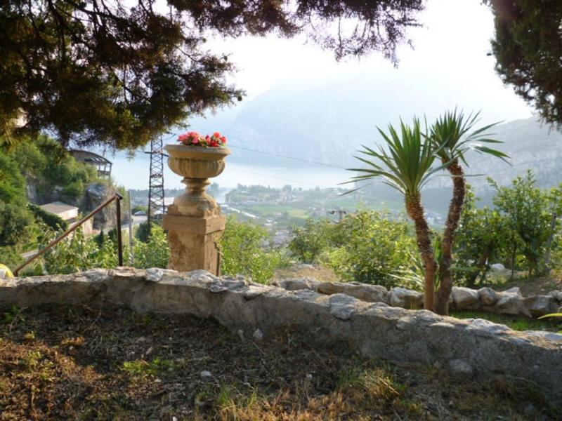 B B Garden Belvedere - Genel