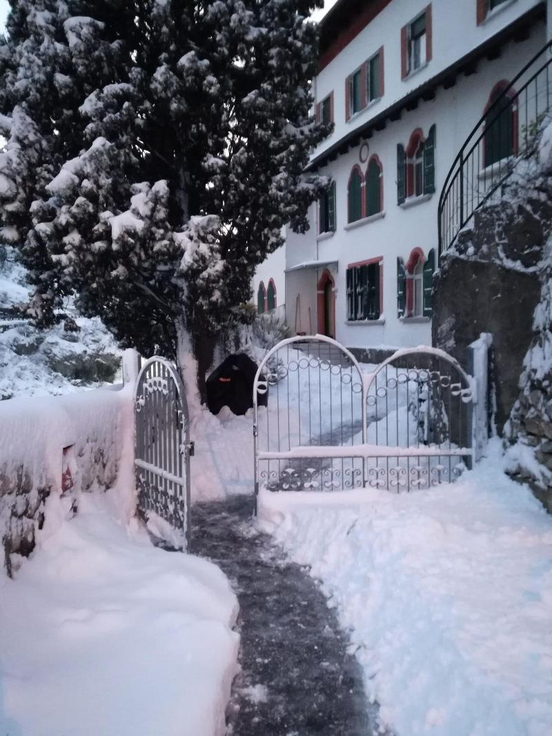 B B Garden Belvedere - Genel