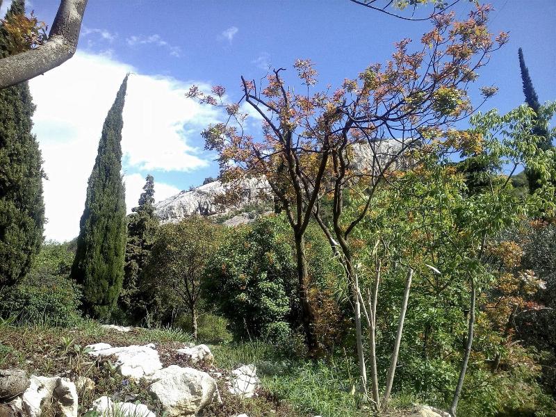 B B Garden Belvedere - Genel