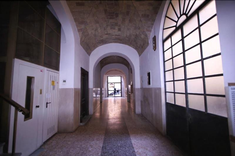San Peter Angels - Lobi