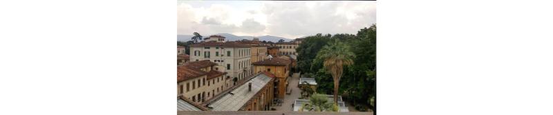 Flor In Florence - Genel