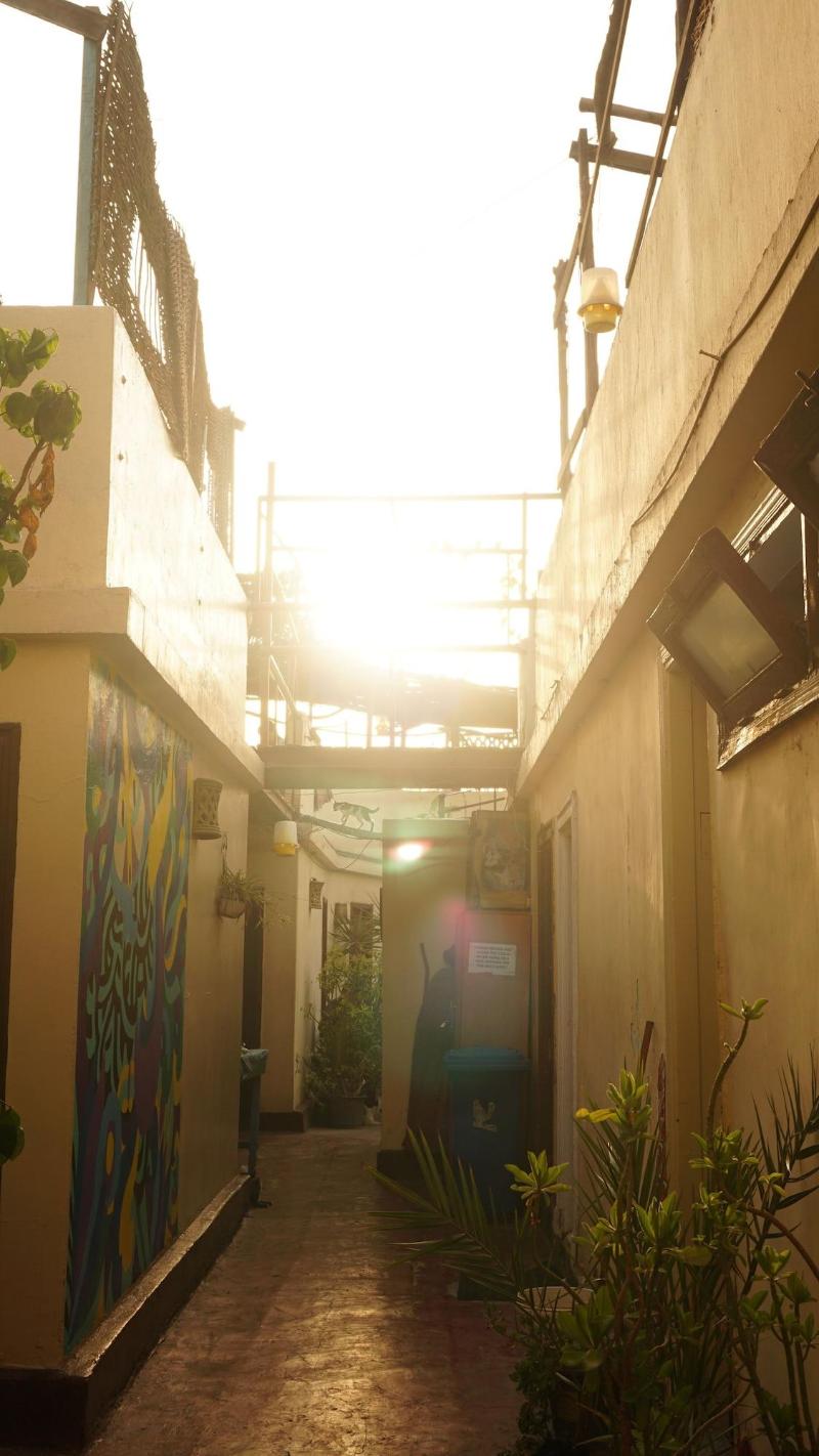 Dahab Hostel - Genel
