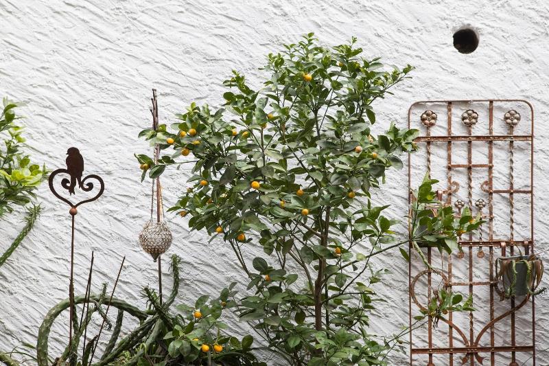 Caffa Dell Arte Boutique Rooms - Genel