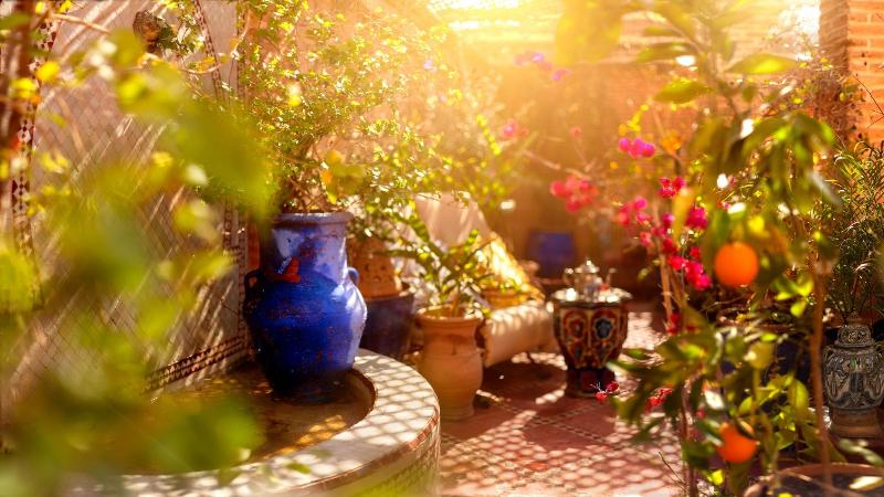 Riad Persephone - Teras