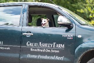 Great Ashley Farm fotoÄŸrafÄ±