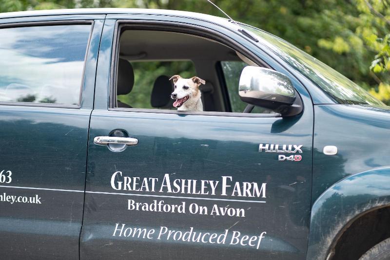 Great Ashley Farm - Genel
