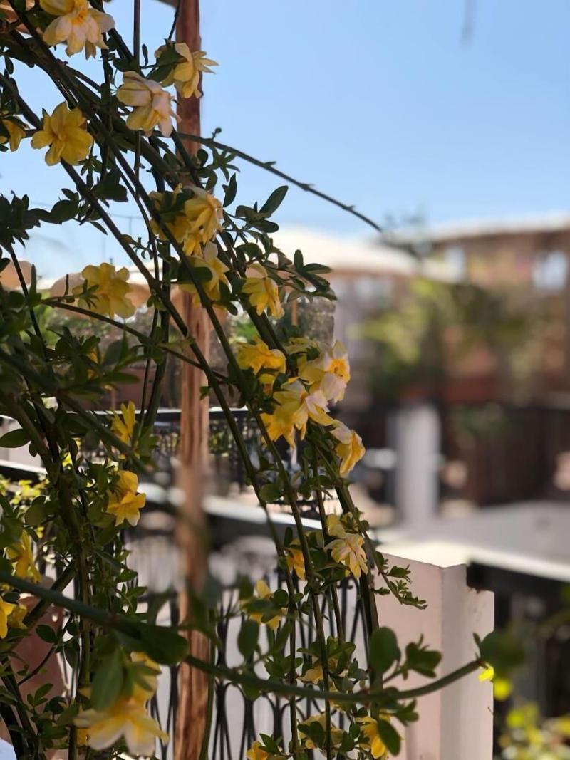 Bliss Riad Marrakech - Teras