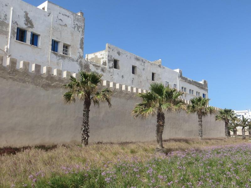 Riad Gloria - Genel