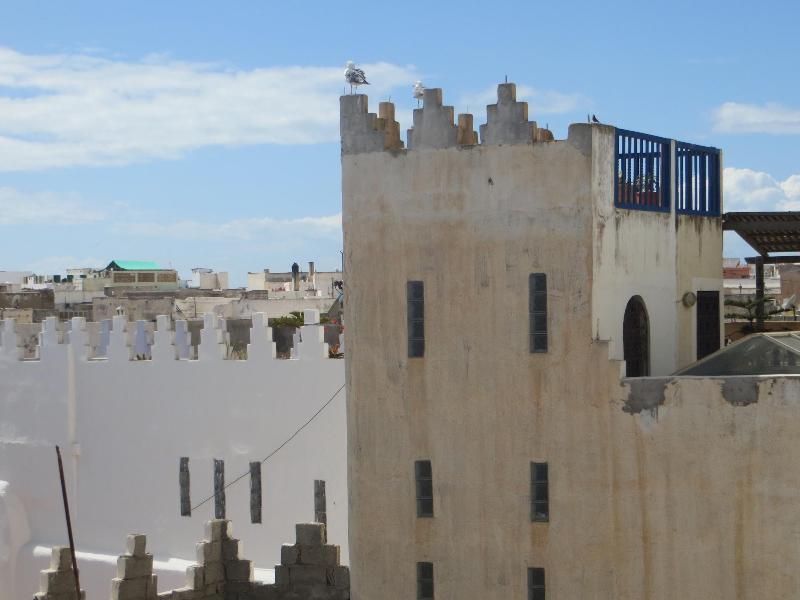 Riad Gloria - Genel
