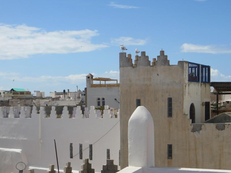Riad Gloria - Genel