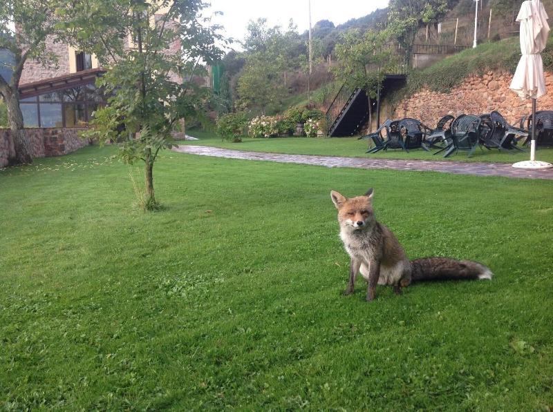 Hostal Rural La Calera - Genel