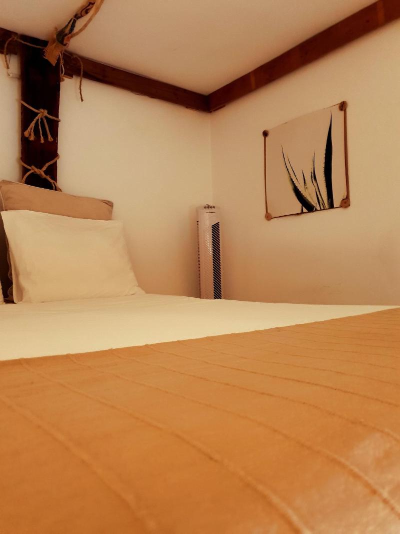 Cactus Host - Oda