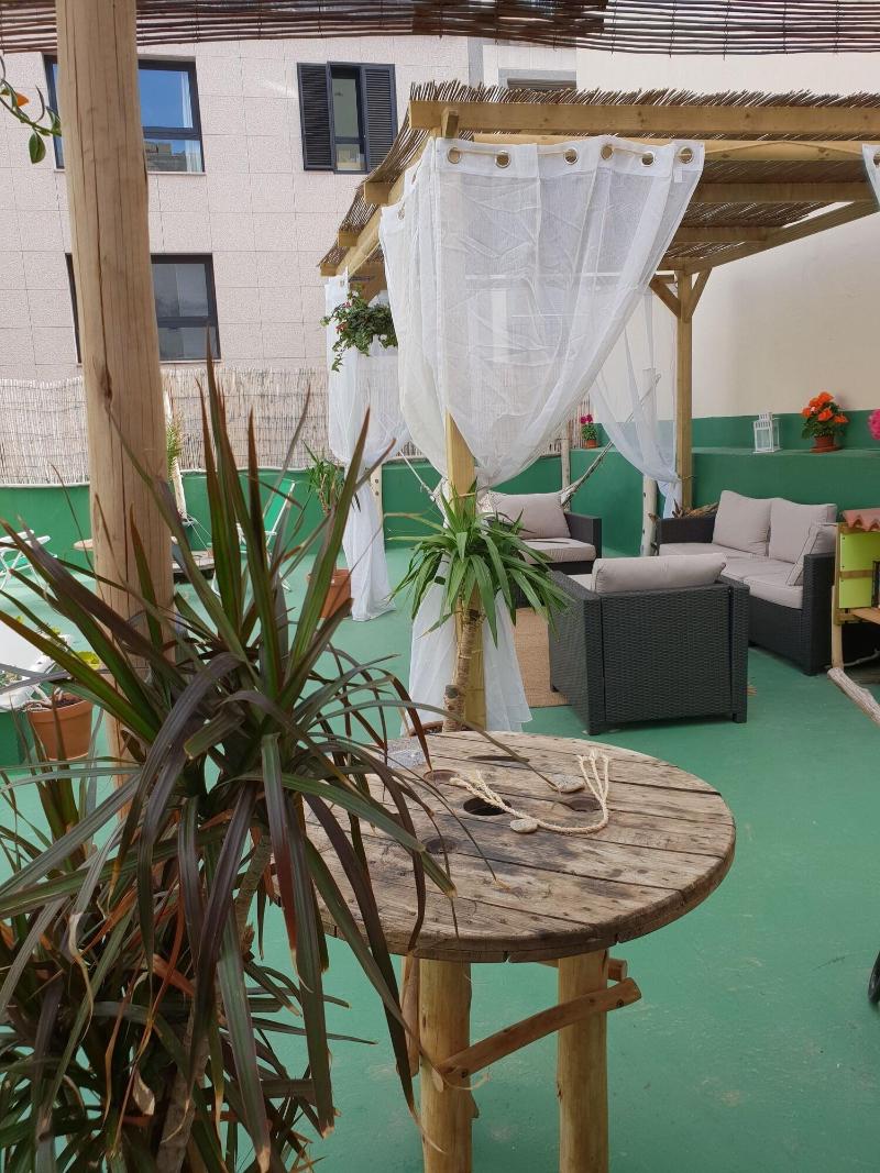 Cactus Host - Teras