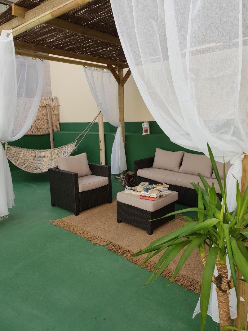 Cactus Host - Teras