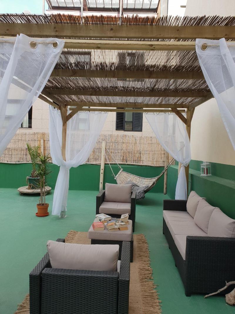 Cactus Host - Teras