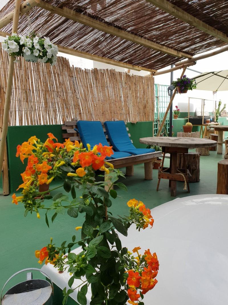 Cactus Host - Teras