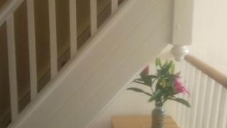 The Merrydale Guest House fotoÄŸrafÄ±
