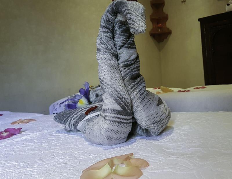 Riad Gallery 49 - Aktivite