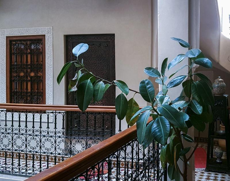 Riad Gallery 49 - Oda