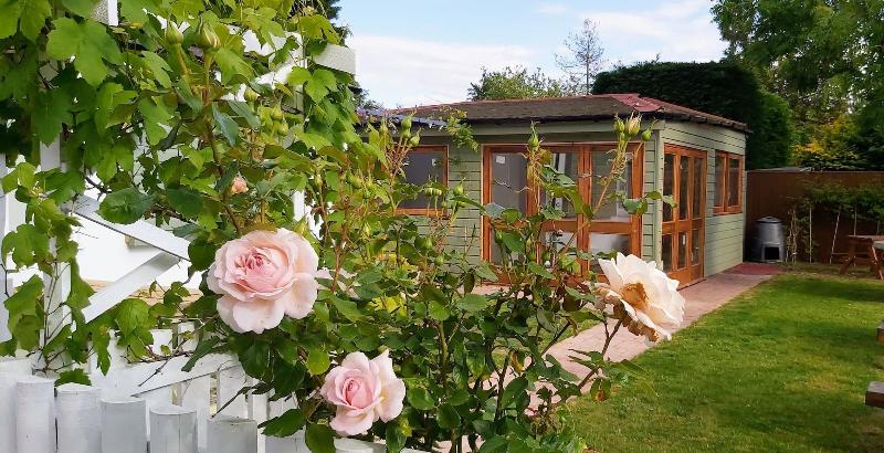 Oxford Guest House - Genel