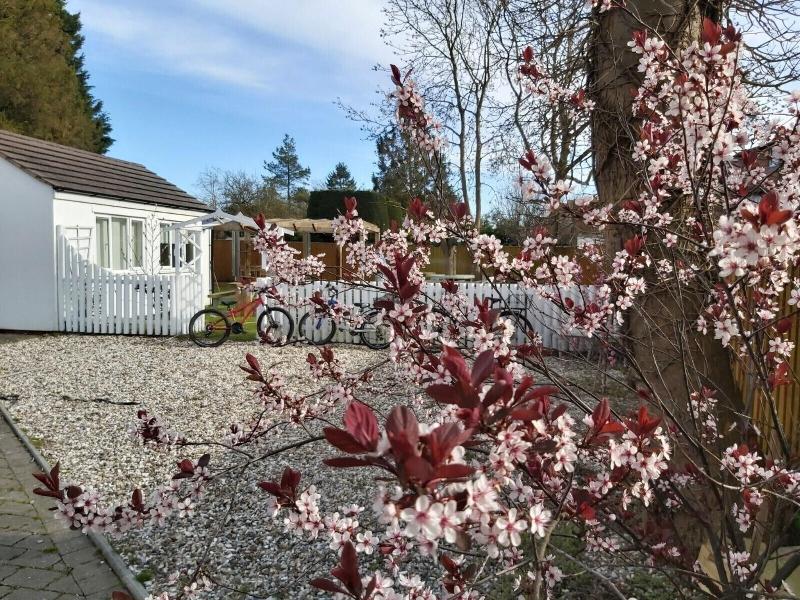 Oxford Guest House - Genel