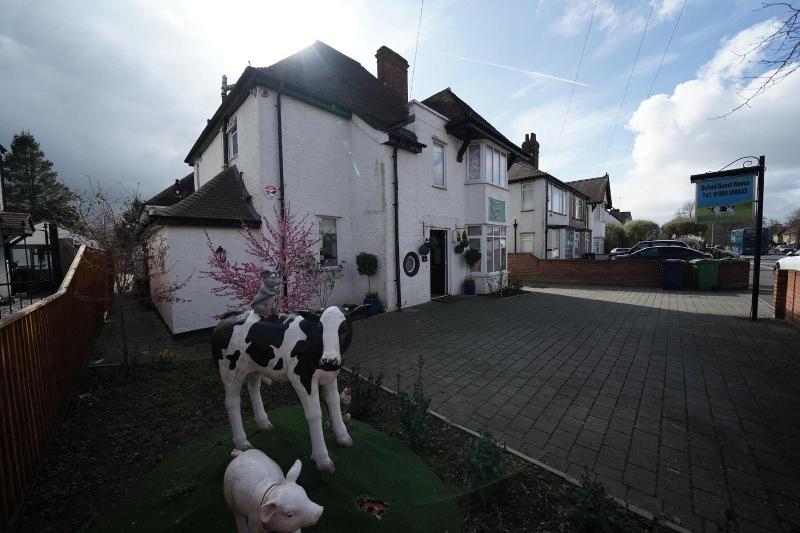 Oxford Guest House - Genel