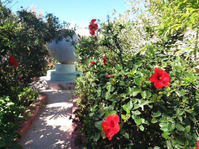 Riad Tamayourt Ocean View - Genel