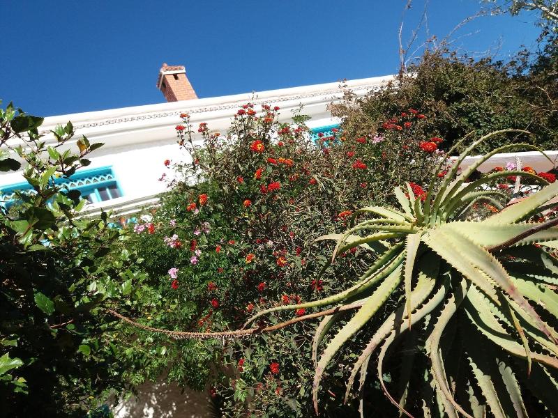 Riad Tamayourt Ocean View - Genel