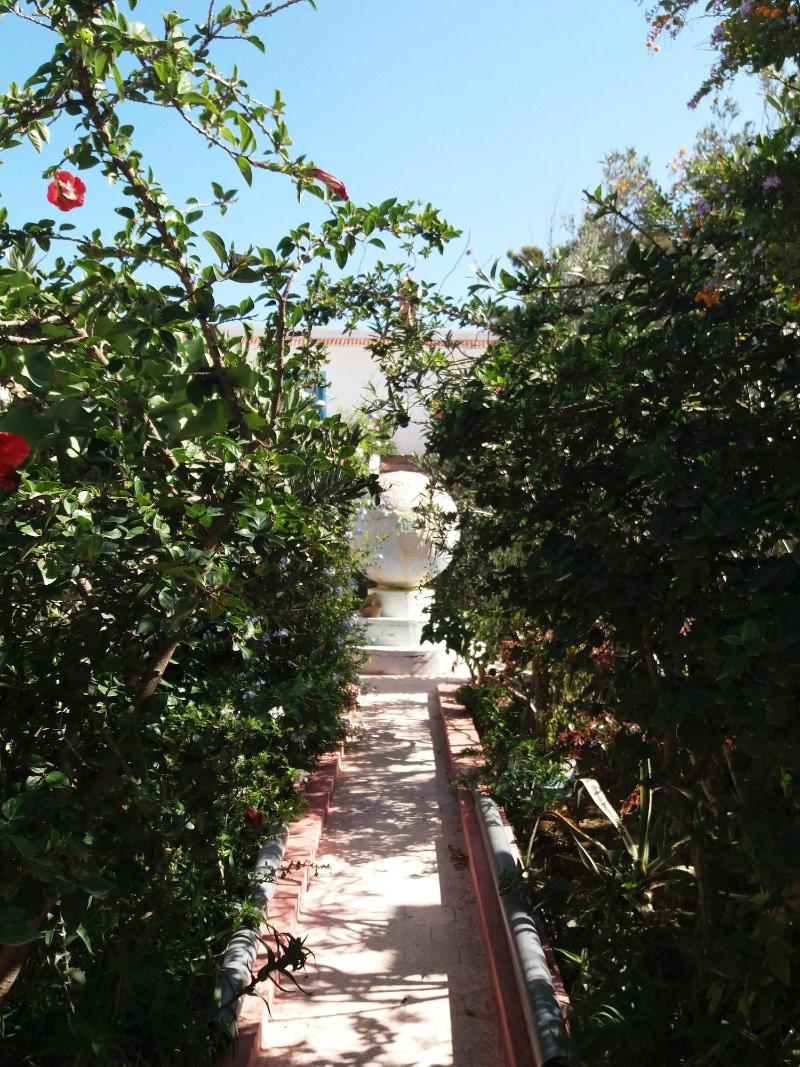 Riad Tamayourt Ocean View - Genel