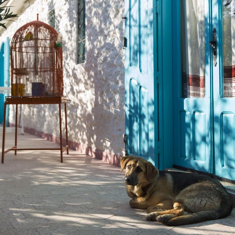 Riad Tamayourt Ocean View - Genel