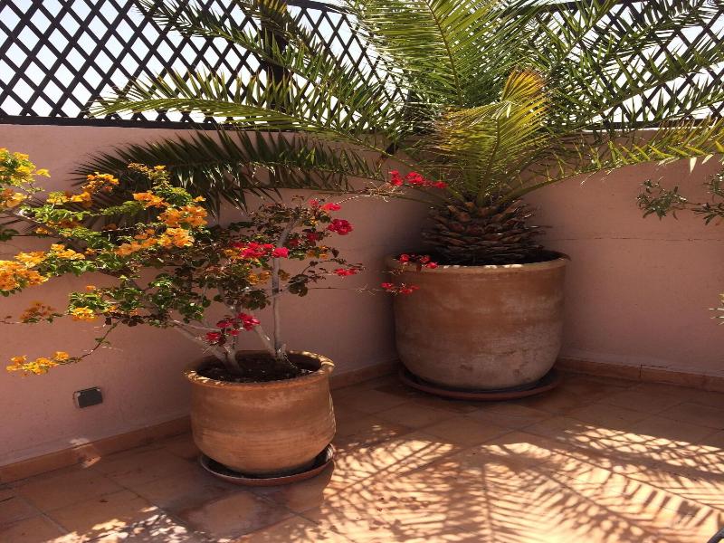 Riad Irene - Teras