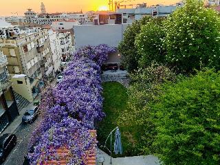 Urban Garden Porto Central Hostel fotoÄŸrafÄ±