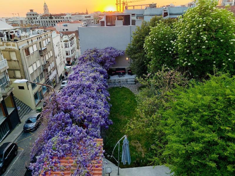 Urban Garden Porto Central Hostel - Genel