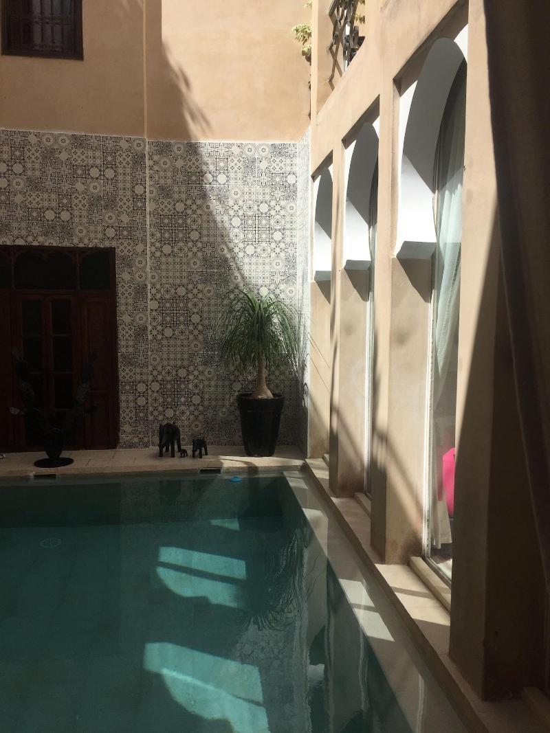 Riad Nafis - Aktivite