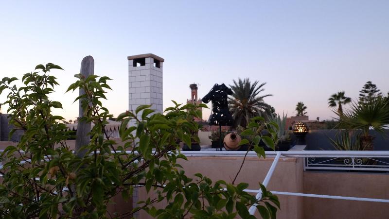 Riad Nafis - Genel