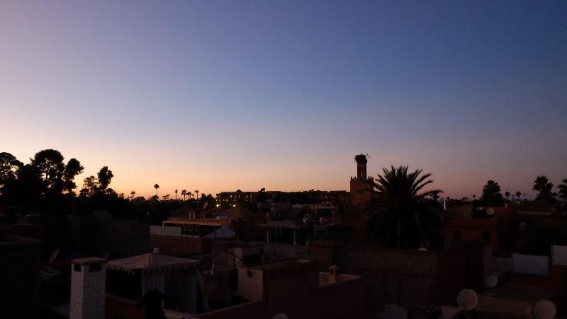 Riad Nafis - Genel