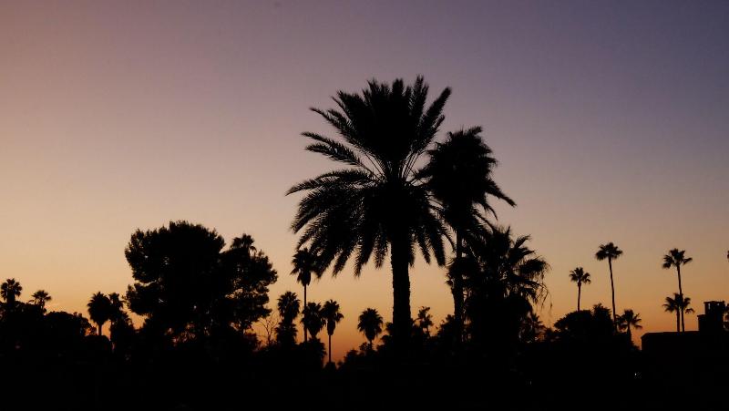 Riad Nafis - Genel