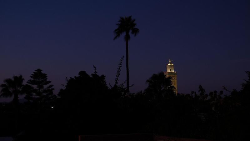 Riad Nafis - Genel