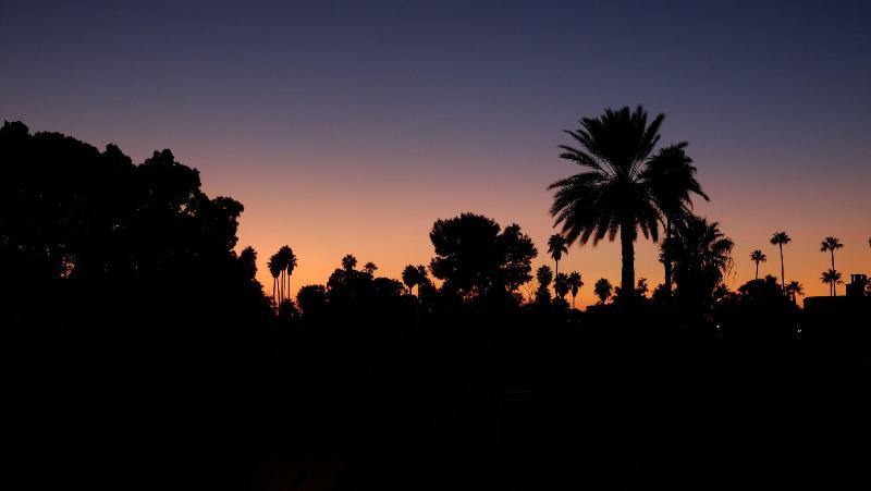 Riad Nafis - Genel