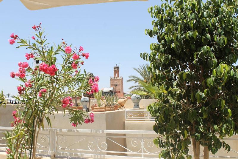 Riad Nafis - Genel