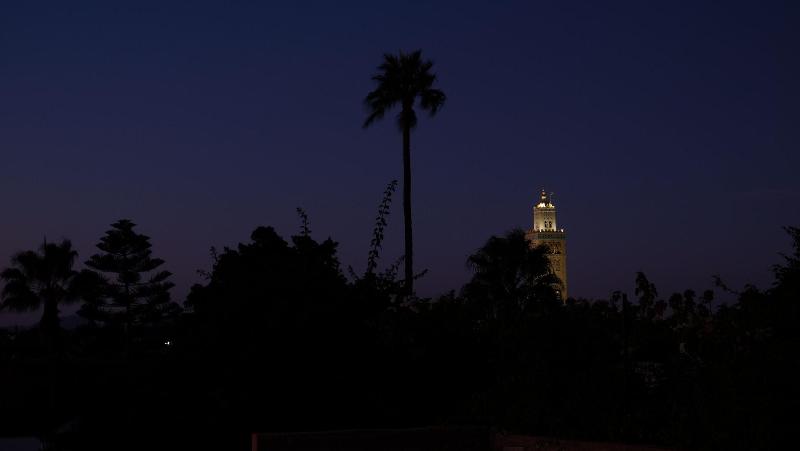 Riad Nafis - Genel