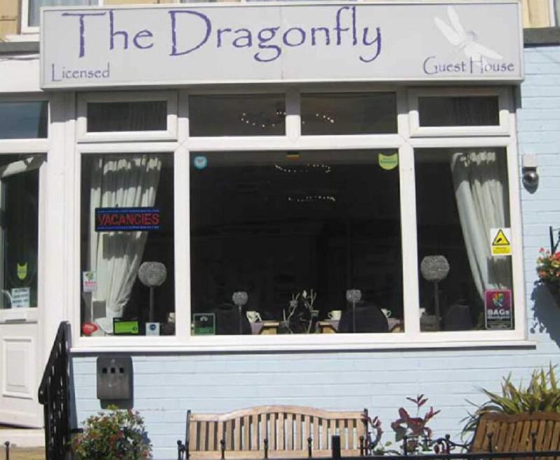 The Dragonfly - Genel