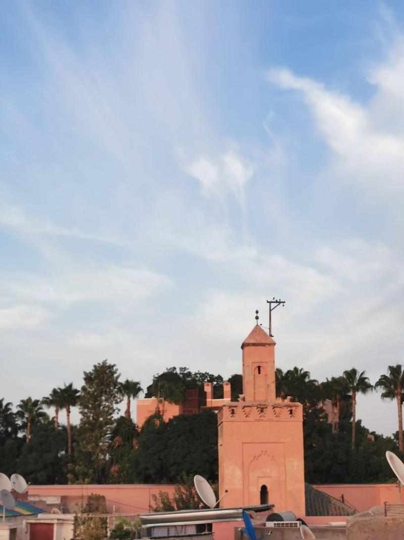 Riad Beata - Genel