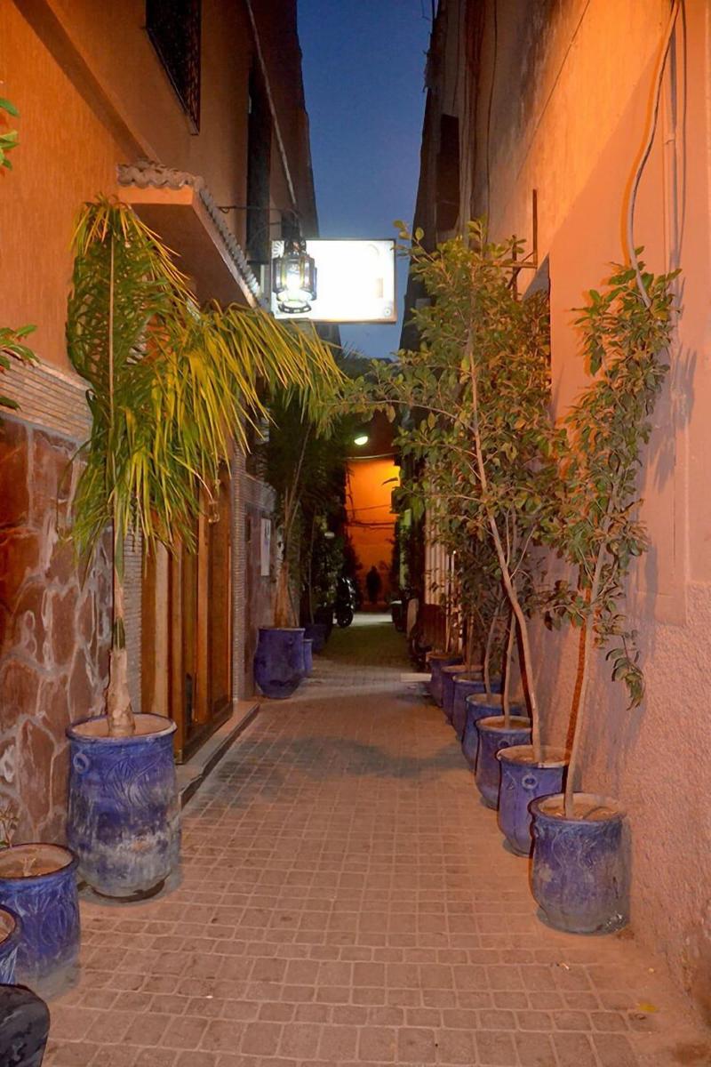 Riad Aymane - Genel