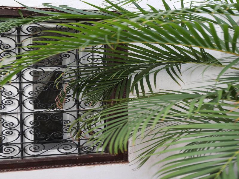 Riad Noor Charana - Genel