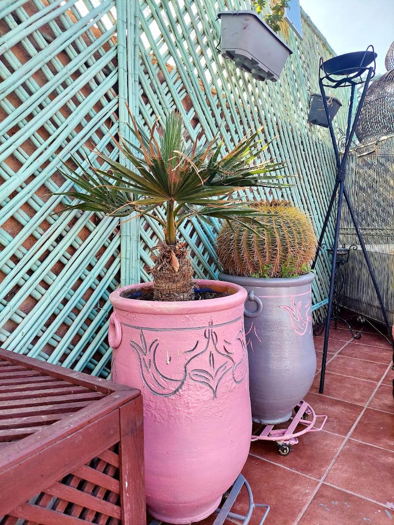 Riad 1001 Couleurs - Oda