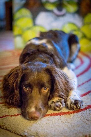 Kingsley Edinburgh fotoÄŸrafÄ±