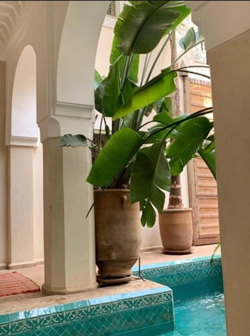 Riad Palacio De Las Especias - Aktivite