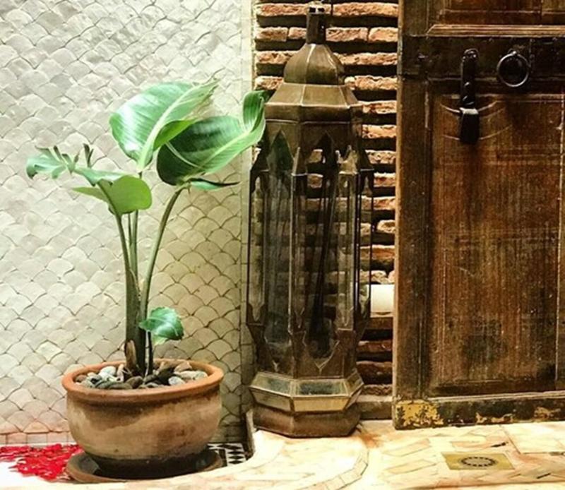 Riad Palacio De Las Especias - Oda