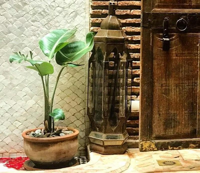 Riad Palacio De Las Especias - Oda